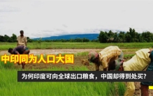 印度人都吃不饱 为啥还要大量出口粮食（粮食出口）