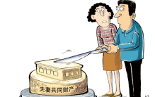 主妇起诉离婚 才知道丈夫的真实收入（婚姻隐瞒）