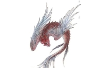 中国神话中十大上古神鸟，鲲鹏、凤凰位列榜首