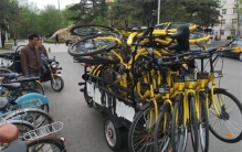 大学生在学校里骑自行车 居然被学校处分（大学管理）