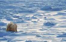北极地区频繁发生异常的现象 强烈闪光的出现（气候变暖）