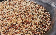 升糖指数最低的十大主食排名：燕麦米上榜，藜麦居魁首