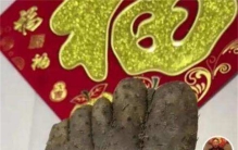 男子买到一颗奇葩山药 居然和人类脚掌相似（奇葩植物）