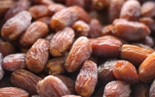 椰枣能养活半个中东 为啥在我国不行（水果种植）