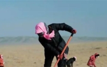 女子沙漠种树16年让县城免于消失 天天都过植树节