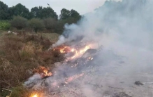 美国秸秆可以随便焚烧 为啥我国不行（焚烧秸秆）