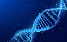 中美差距多大 NASA太空基因编辑 是高中生想法（DNA修复）