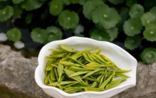 绿茶十大知名品种：西湖龙井夺冠，洞庭碧螺春居第二