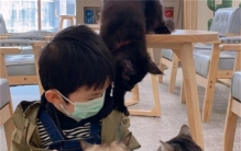 人类婴儿那么脆弱 为啥动物幼崽就可以跑（生理不同）