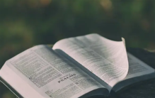 买书最便宜网站 书籍价钱一折起(中国图书网)