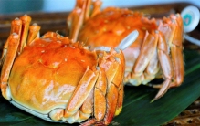 正宗的阳澄湖大闸蟹 为啥这么贵（大闸蟹）