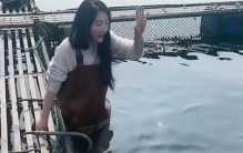 女子养特殊宠物 500斤的大鱼（特殊宠物）