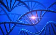 人类的基因中隐藏着什么不为人知的秘密（隐藏的代码）