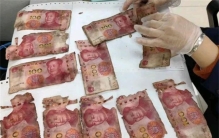 老人墓地里藏13万 居然全部发霉（老人存款）