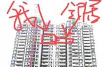 女子错把邻居家装修 已经获得谅解（乌龙事件）