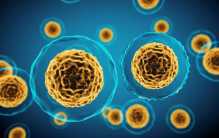 人类为何不能永生 人类“基因打工仔”而已（基因作用）