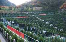 世界上最大墓地 距今已经有1400年的历史 (占地1485.5公顷)