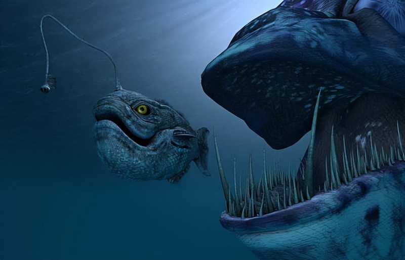 藏在海洋深处最奇异生物你都见过哪些? - 世界之最