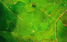 科学家发现“上帝指纹”是啥 宇宙被设计？（宇宙真相）