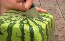 日本卖的西瓜那么贵 为啥不从中国进口（西瓜进口）