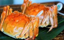 产值上百亿的阳澄湖大闸蟹 是不是洗澡蟹（大闸蟹）