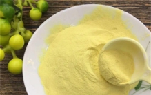 上百元一斤的松花粉 为啥很少有人采摘（采摘松花粉）