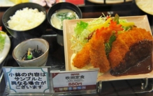 日本和中国的服务区 之间有啥区别？（服务区区别）