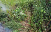 民间习俗（原创）