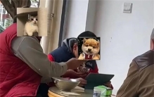 小男孩儿沉迷打游戏 奶奶在旁边喂饭（宠溺孩子）