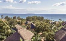 世界上最大的丁香生产国：产量占全球80%(共种植3万公顷)