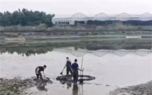 浙江嘉兴上空传来巨响  掉下一块黑色不明物体  （没找到）