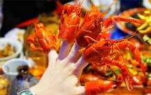 小龙虾也能来铺路 这是什么技术（龙虾铺路）