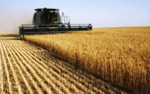 俄罗斯的一个决定 让中国许多农民兴奋（俄罗斯种植）