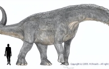 世界最大恐龙在伦敦展出，长121英尺重57吨，如果活着该多可怕？