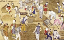 小脚趾拥有两瓣甲的人 是纯种汉人吗 （没有意义）