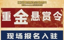 和老虎同住一小时奖励10万 动物园做出回应（与虎同行）