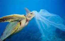 这些东西的出现会让人不安 人类需要警惕（人造垃圾）