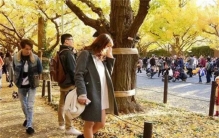 背双肩包的游客 为啥在日本不被欢迎？（双肩包旅游）