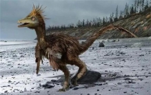 世界上最聪明的恐龙 像狐狸一样狡猾(伤齿龙)