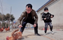 世间奇闻：男子用手电筒吓死1100多只鸡获刑半年