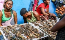 我国人喜欢的海鲜 为啥在非洲没人吃？（非洲海鲜）