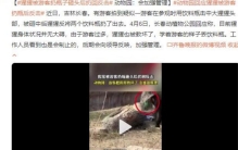 大猩猩被游客扔瓶子 砸到头后扔回反击（猩猩灵性）