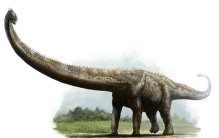 世界上最重的恐龙 体重达到180~220吨(易碎双腔龙)