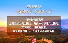 习近平谈“强国建设、民族复兴”系列之四：两个“大团结”