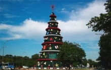 世界上最大的人工圣诞树 巴西圣诞树打破记录(高85米)