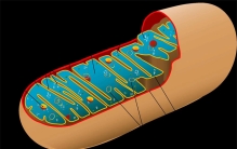 宇航员DNA泄漏 太空飞行究竟有多危险？（太空风险）