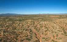 所有沙漠若都变成了森林  会如何  （难以承受）