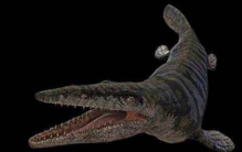 史前最大的青蛙 长达5米/竟以恐龙为食(虾蟆螈)