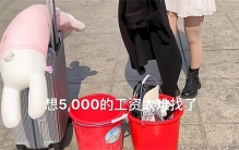 深圳网红提桶跑路 电子厂干几天就跑（提桶跑路）