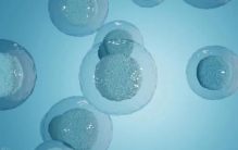 这是探测器近距离拍摄的龙宫表面，难以置信，这是真实的小行星！